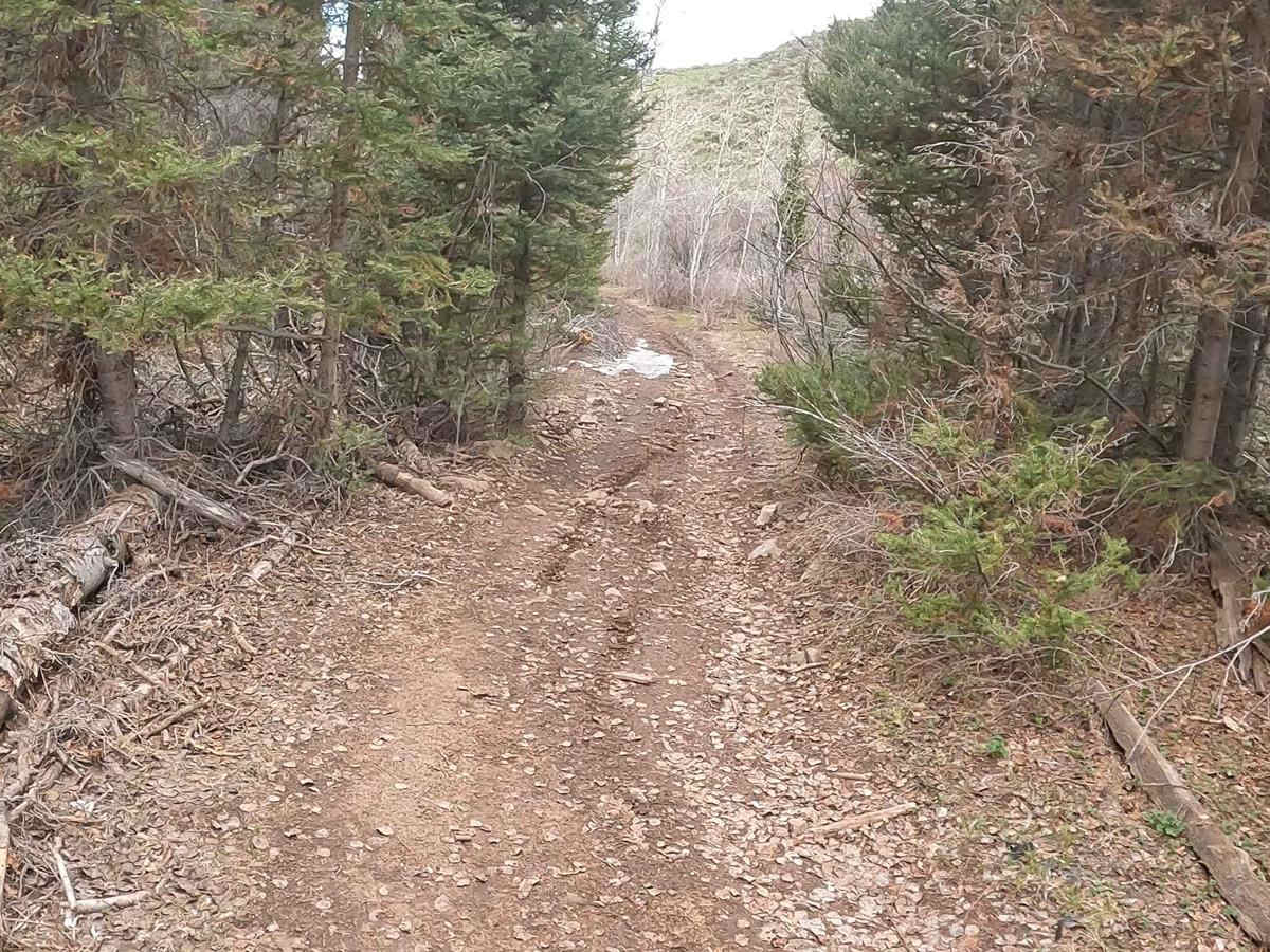 Camel Hollow photo 5