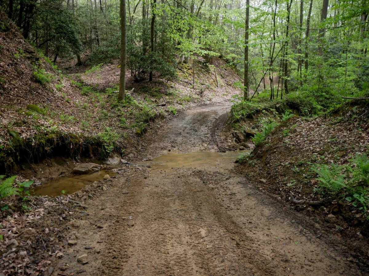 W32 trail photo