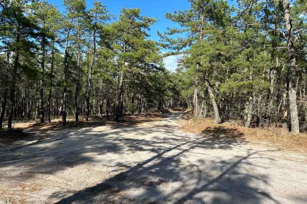 Marcus Trail