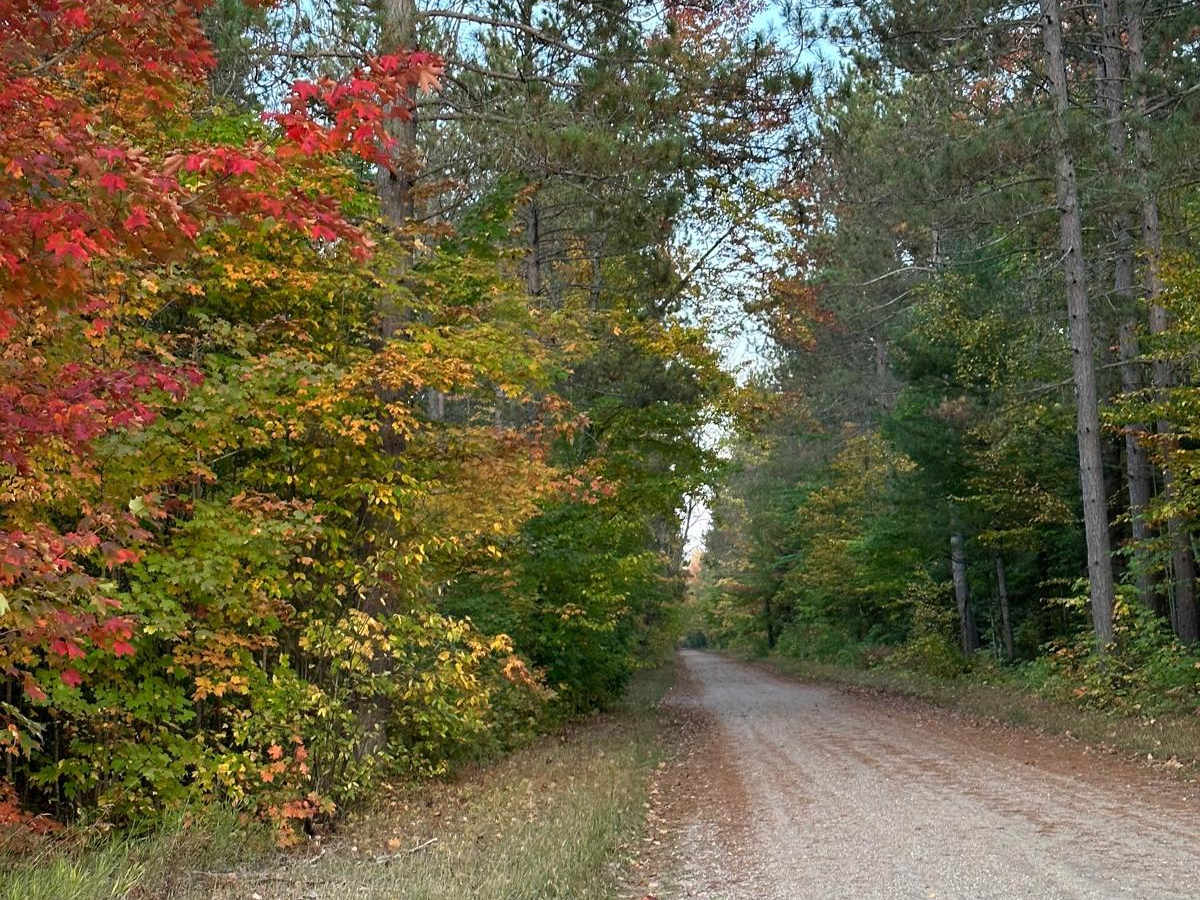 FS 2246 photo 2