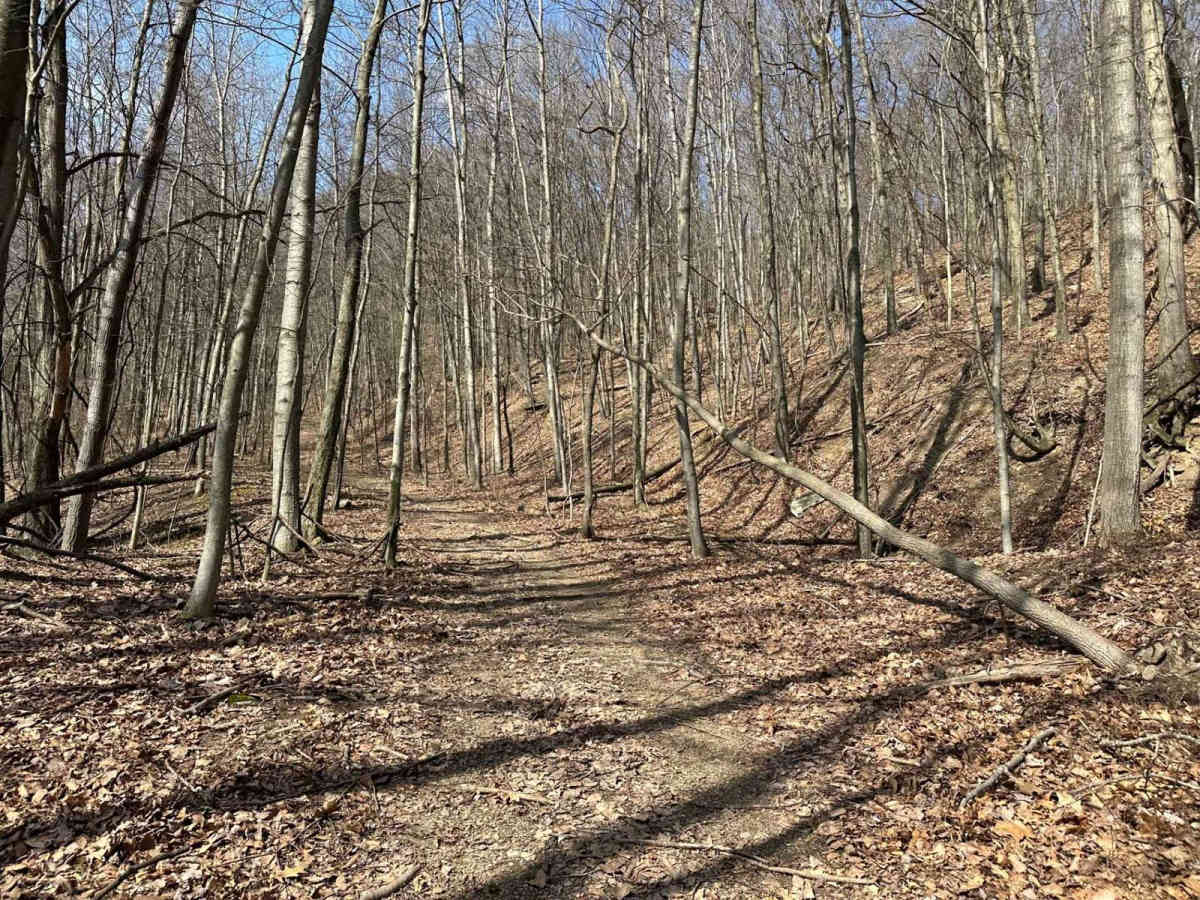 Ashland 15 photo 6