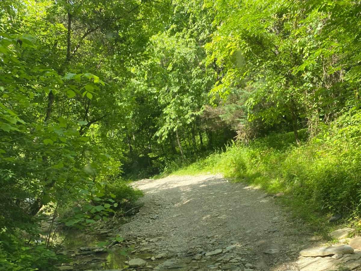 Bee Camp Road photo 5