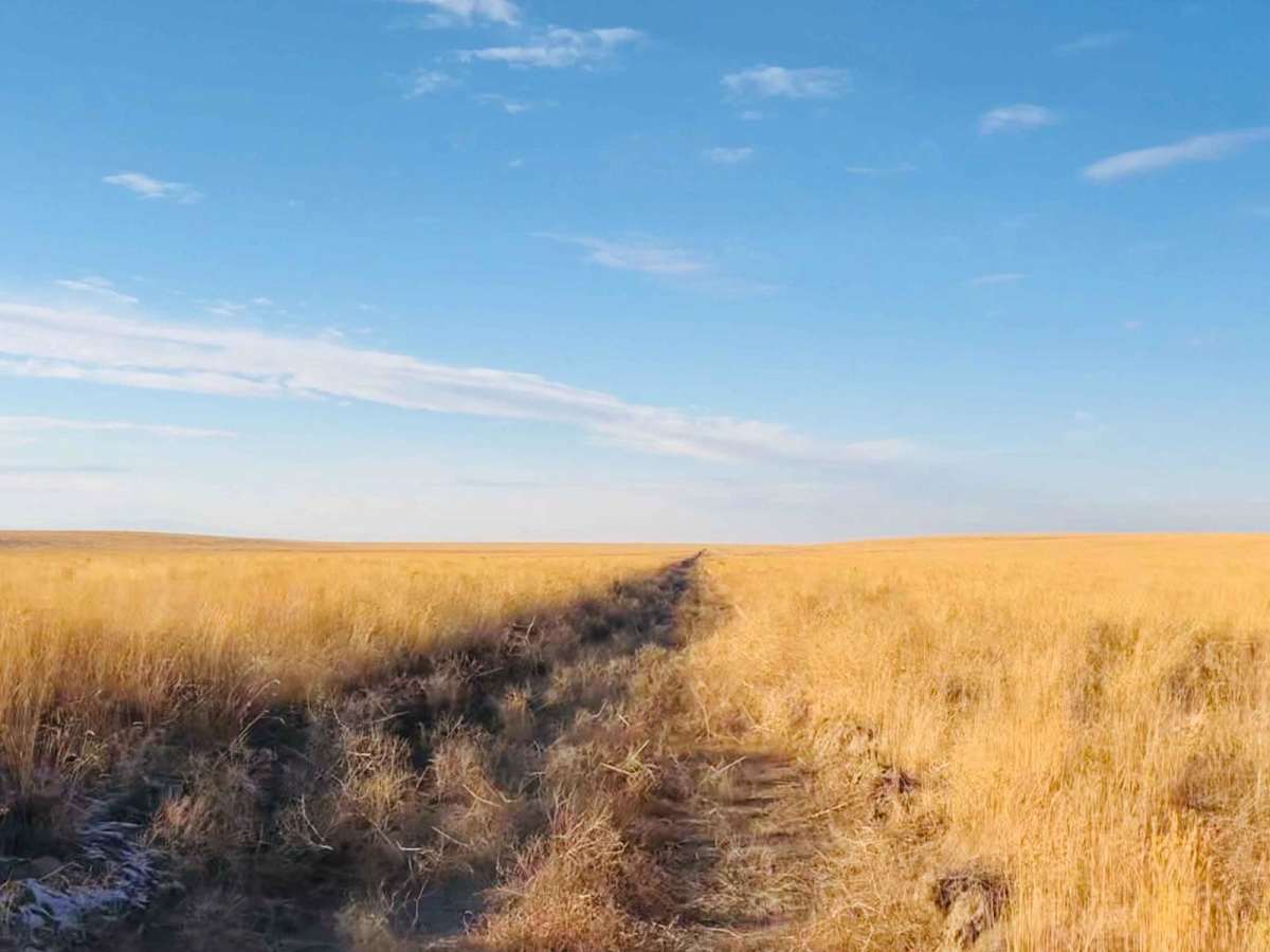 Idaho Centennial Trail trail photo