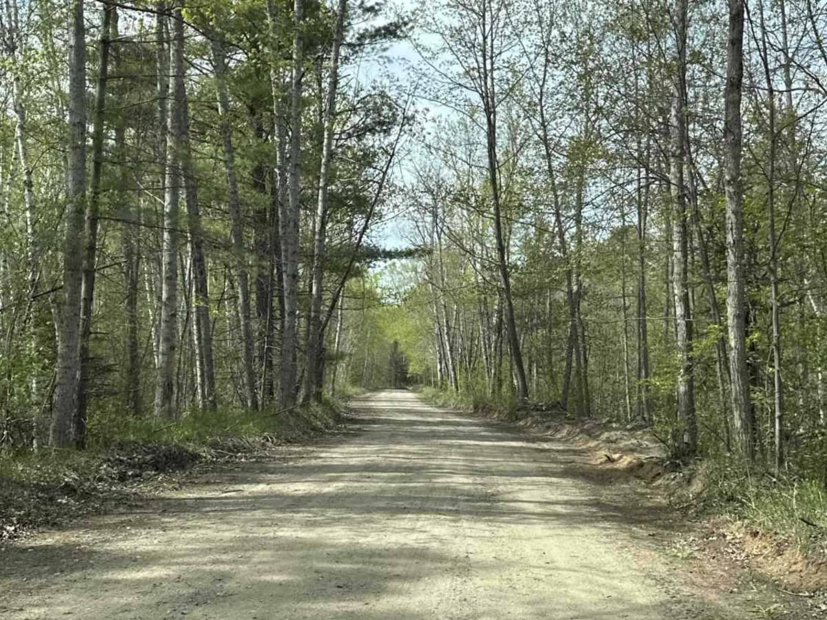 Sand Hill Trail photo 2