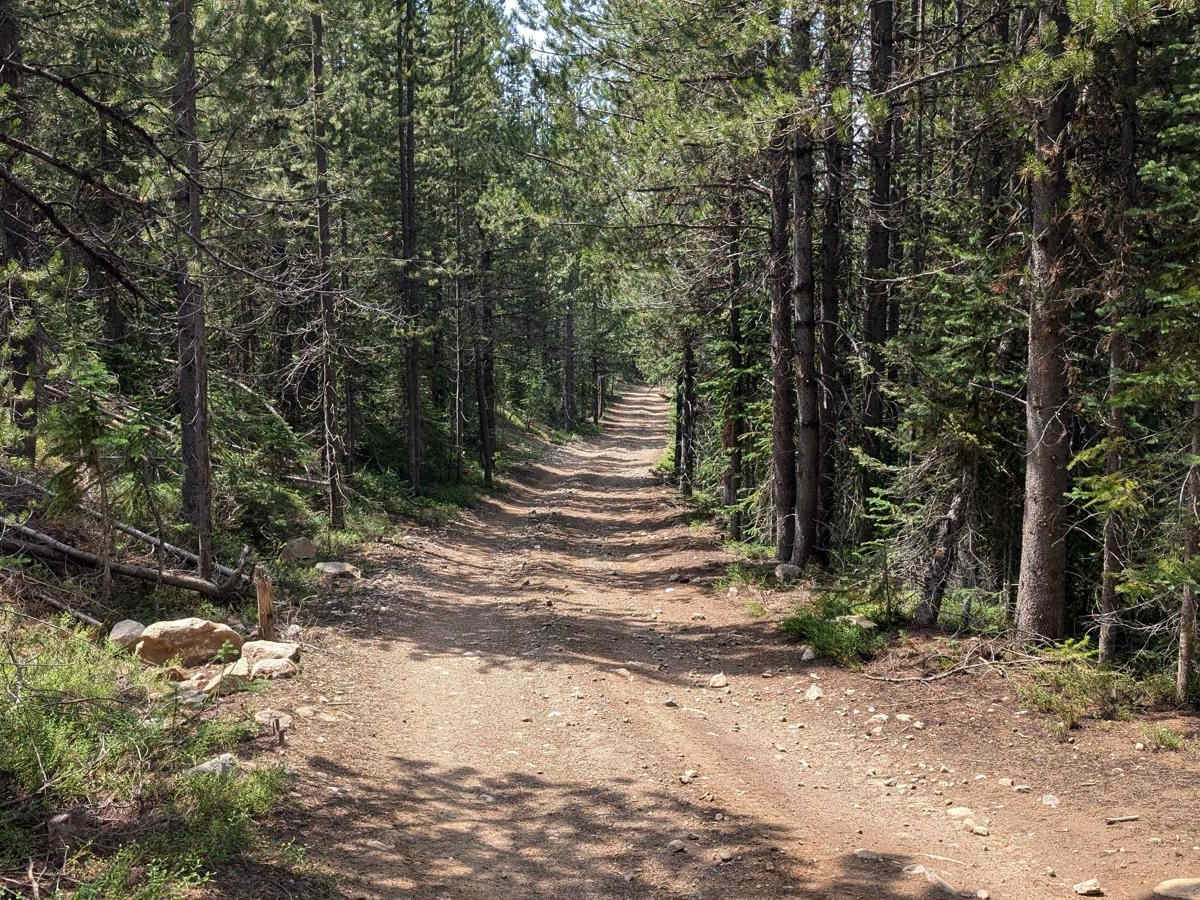 Forest Service Road 50329 (FSR 329/Willow Creek Road trail photo