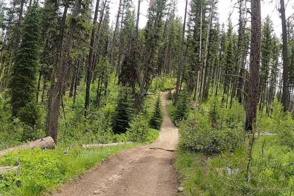 Telephone Ridge Trail #112