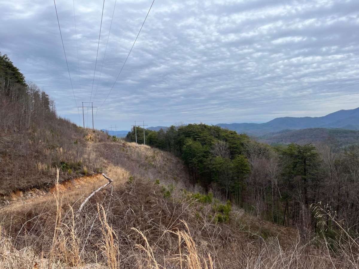 Kimsey MTN (Old 68 HWY) trail photo