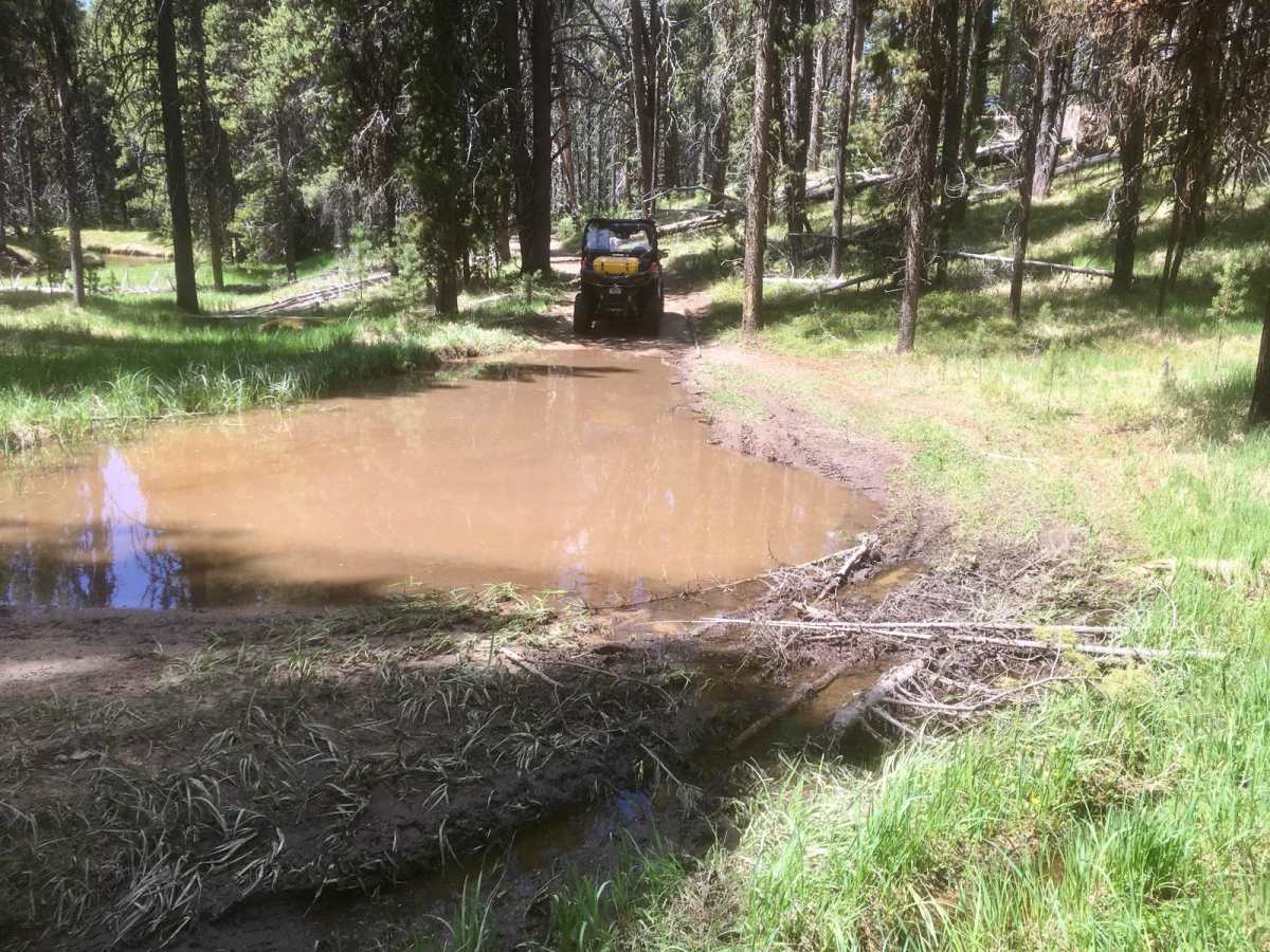 Noname Trail photo 3