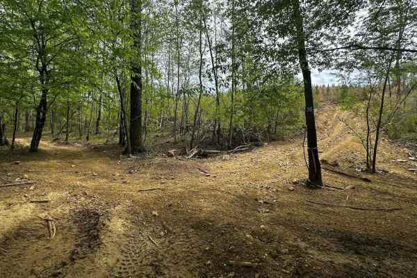 Trail 36 Hill