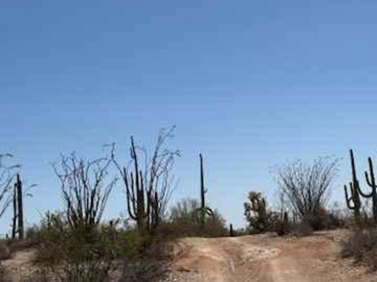 Sw3202 photo 5