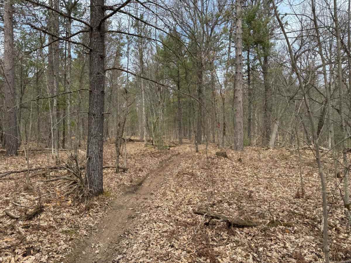 Grand Traverse South photo 3