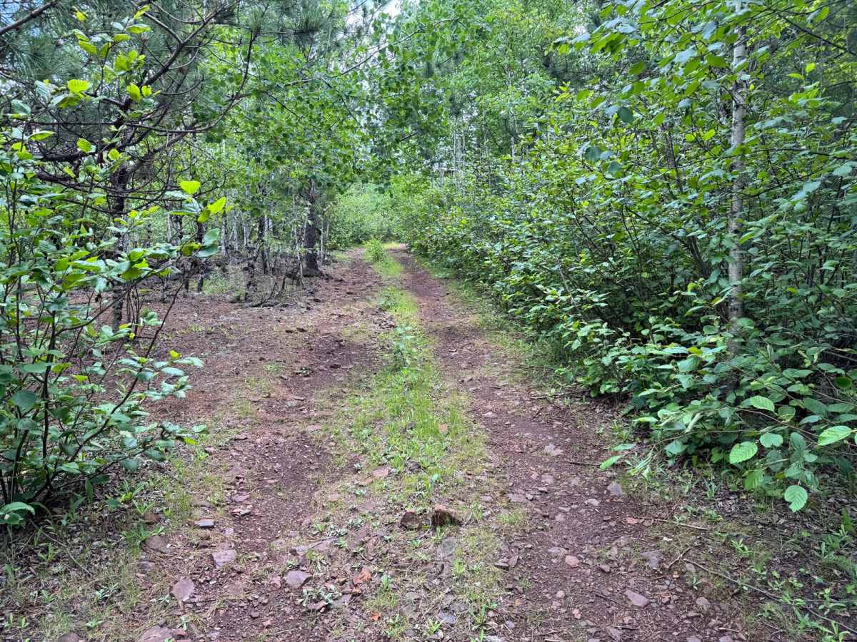 Lower Quartz Loop photo 3