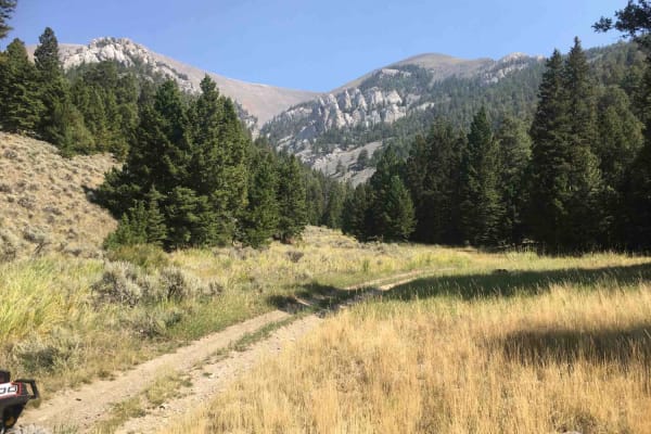 Long Canyon Trail
