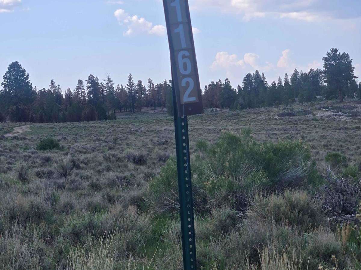 Tom's Best - Flake Swale Trail (FSR 1162) trail photo
