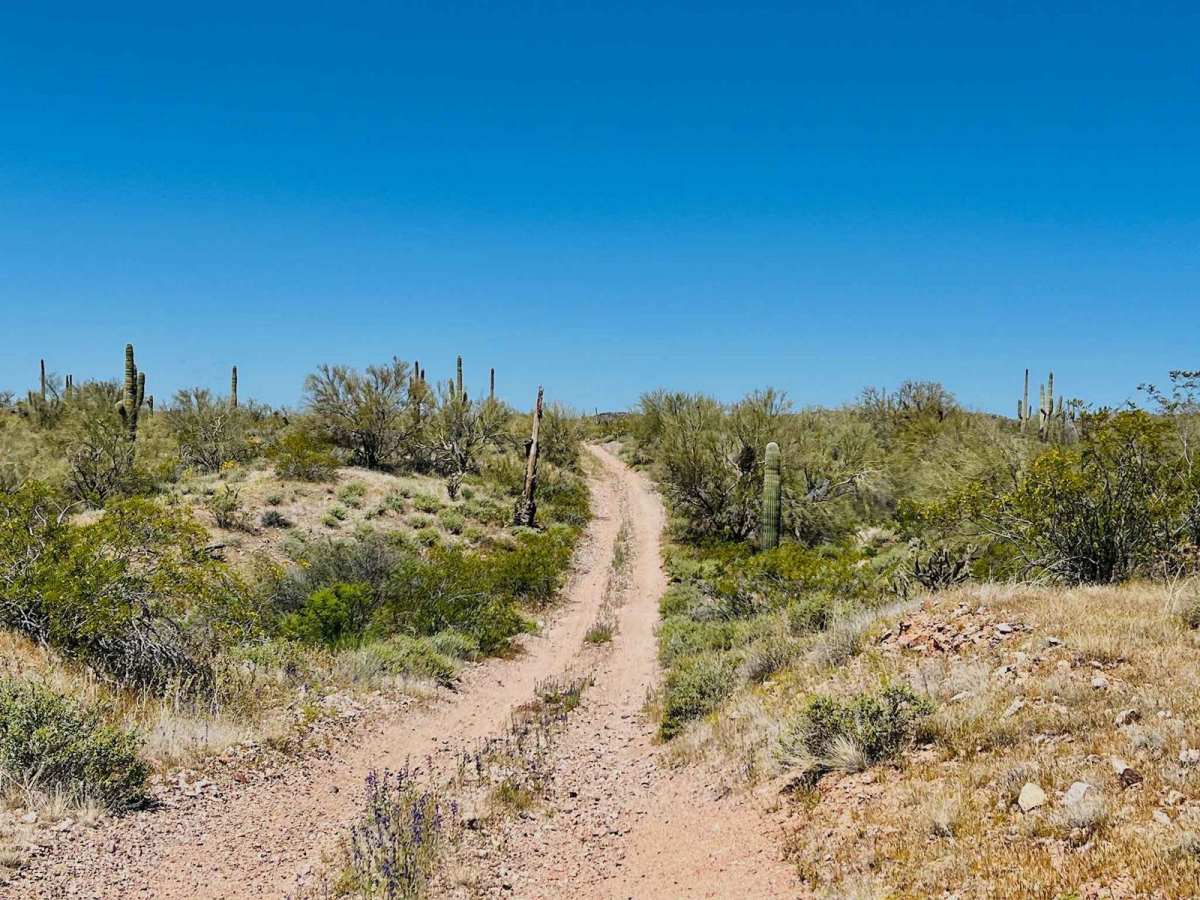 9089 OHV Whoops photo 6