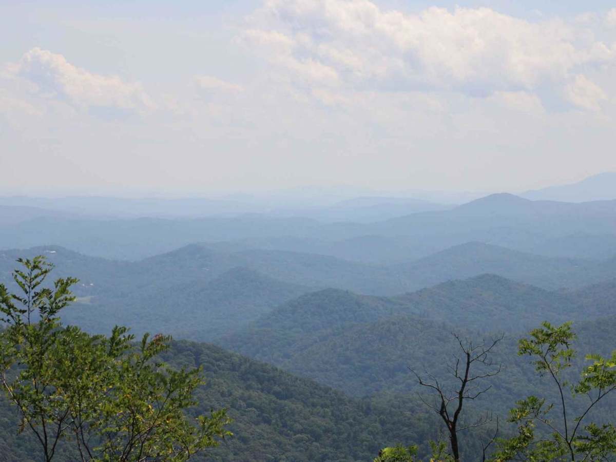 Steel Knob/Chestnut Mountain trail photo
