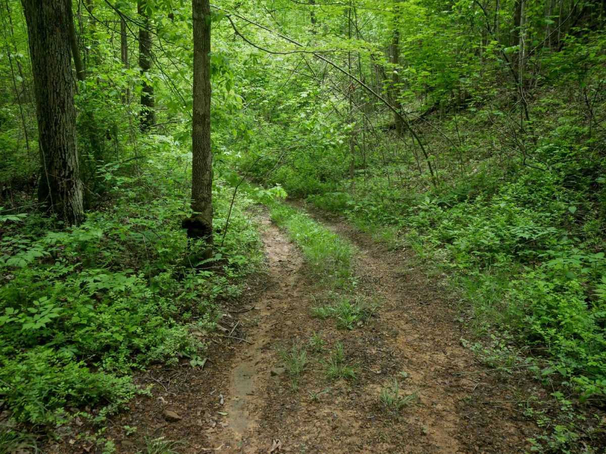 13 Connector trail photo