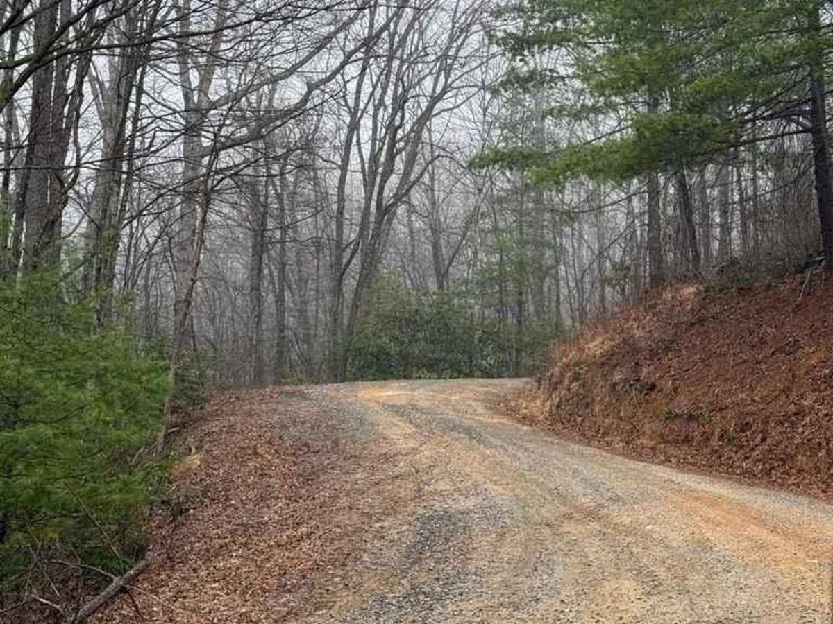 Roseboro Road - FS 981 photo 5