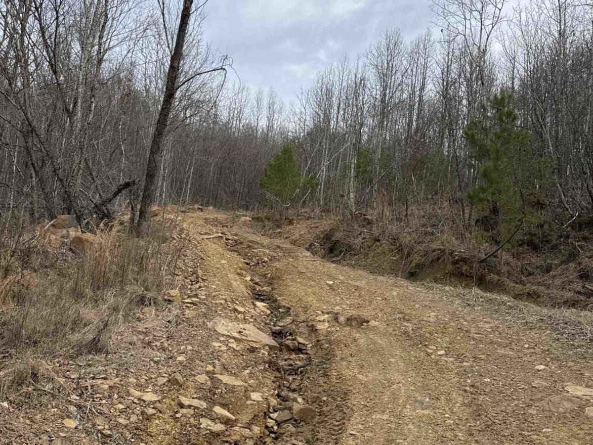 #89 Gobbler's Ridge photo 4