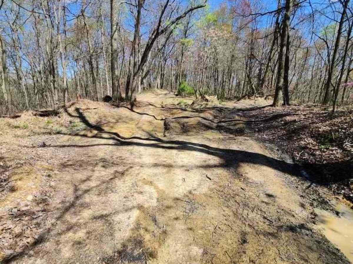 Morrell Hollow photo 3