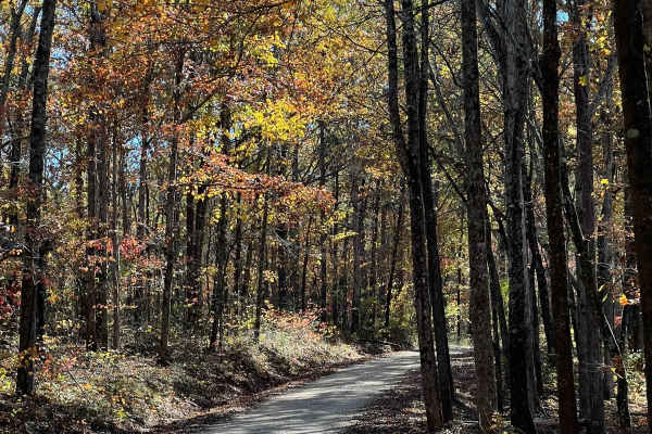Indian Tomb Hollow Road