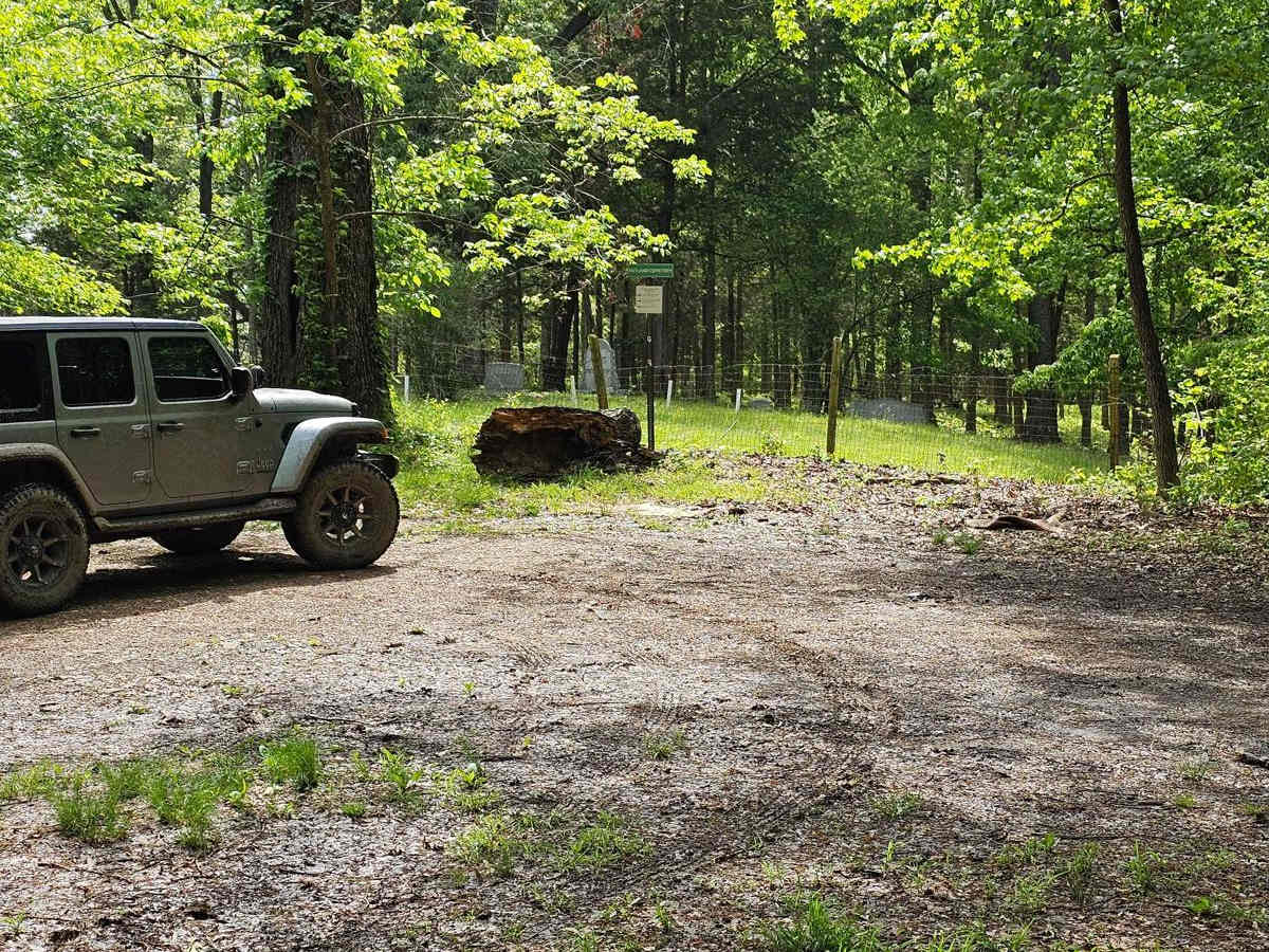 Forest Service Road 401 photo 5