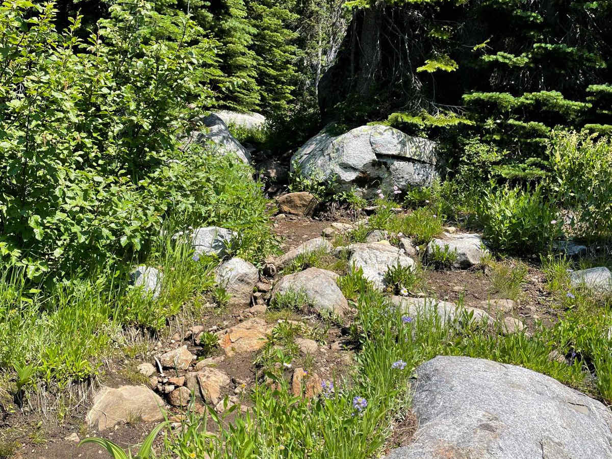 Hard Creek Basin photo 4