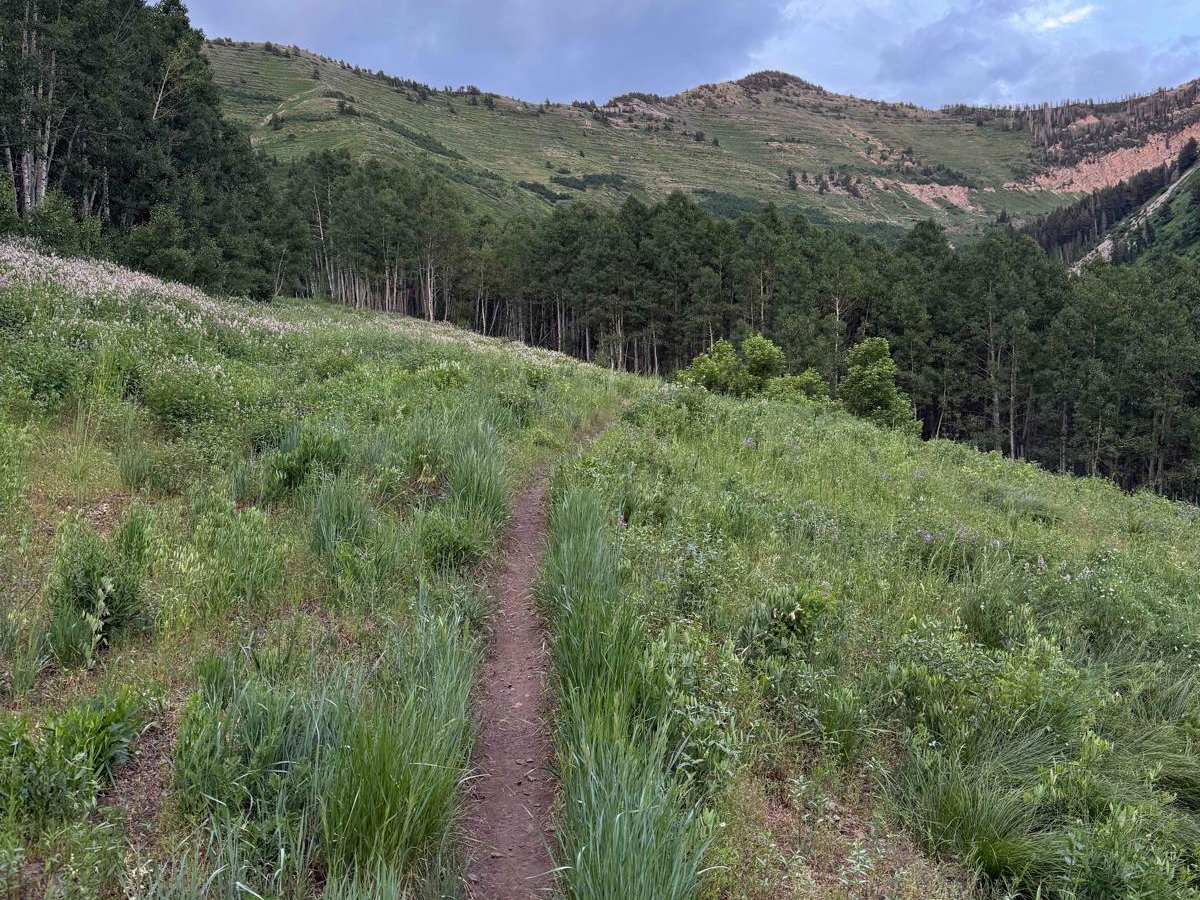 Rock Canyon - Dry Fork photo 5