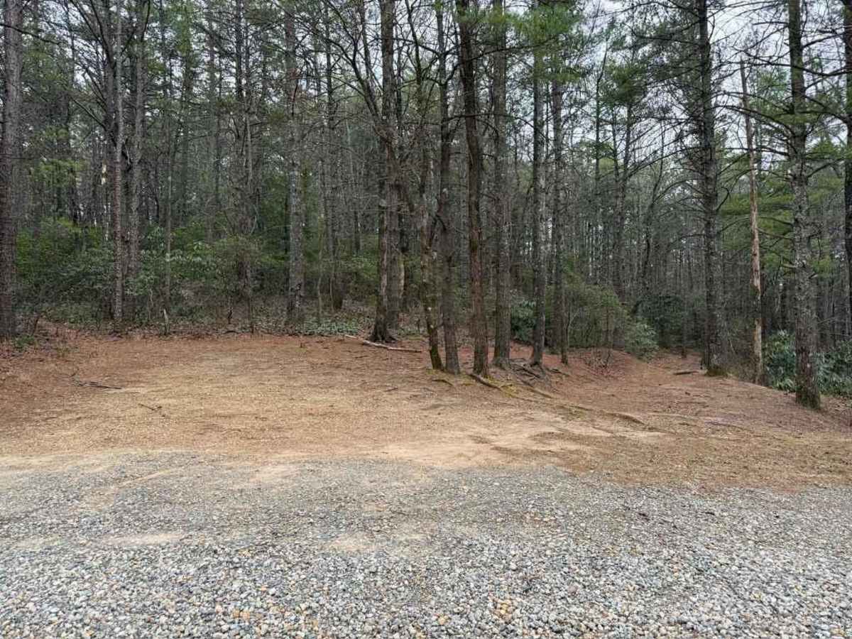 Rich Cove - FS 270B photo 5