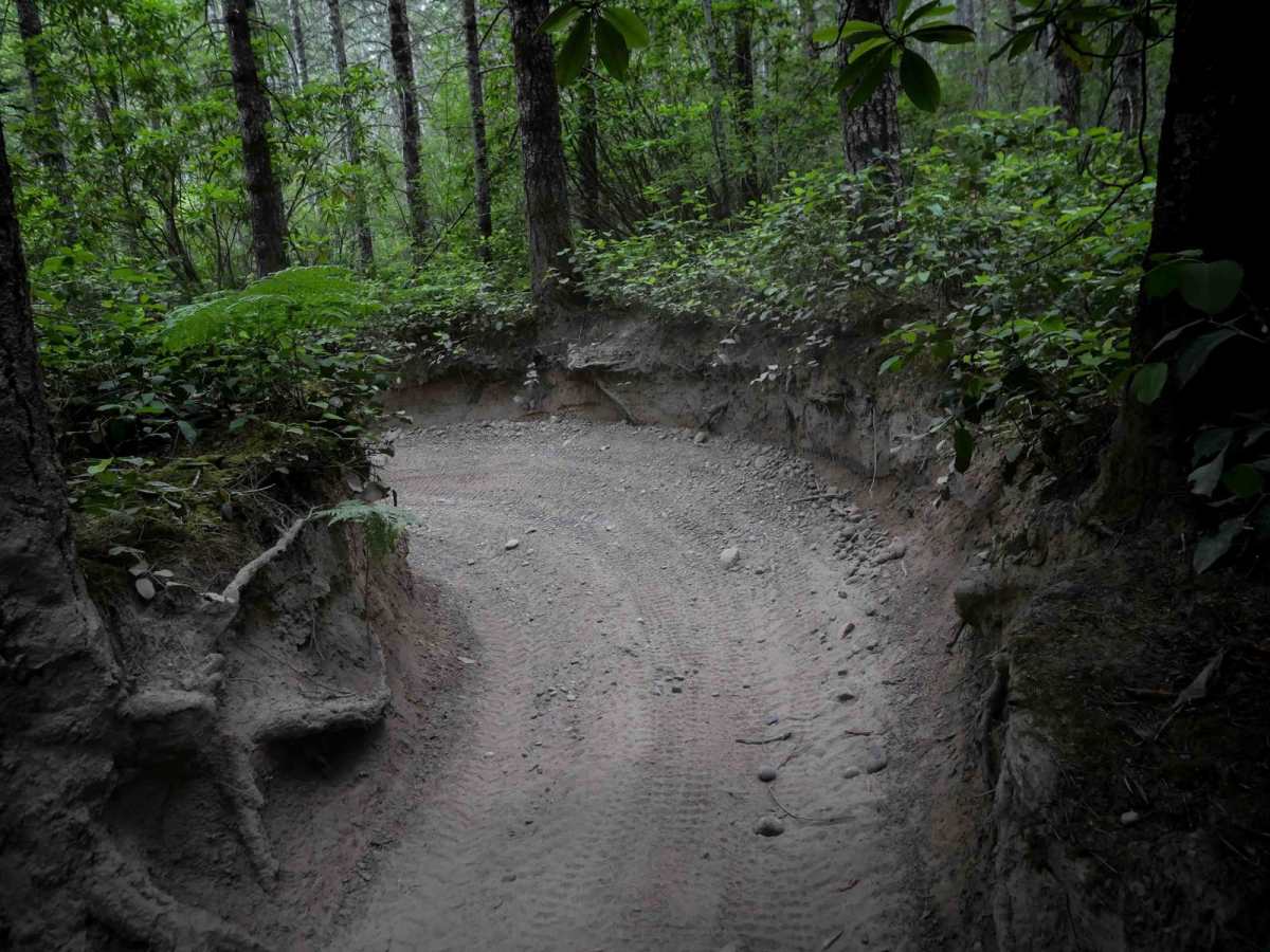 Mission Creek photo 5