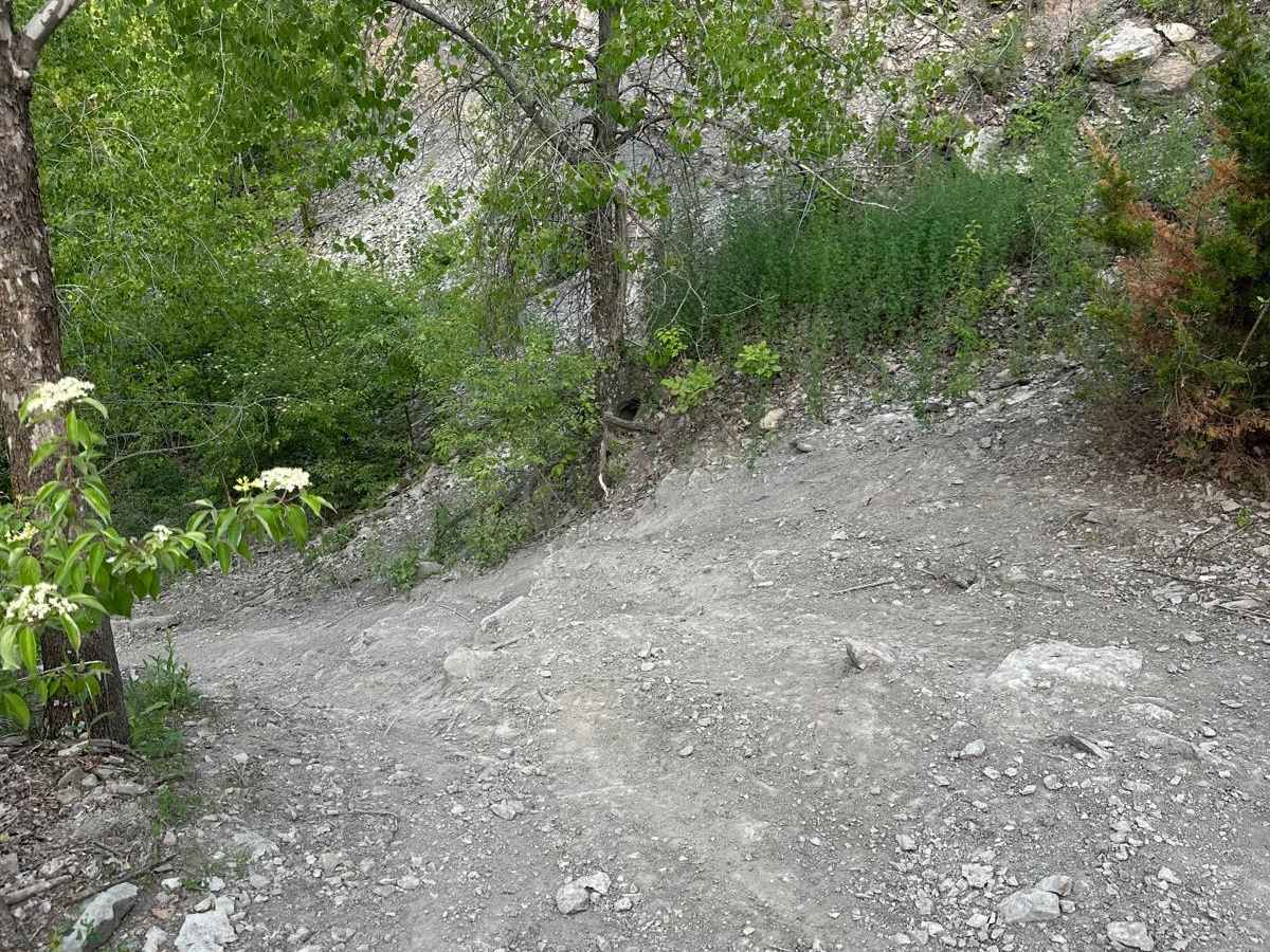 Red 149 trail photo