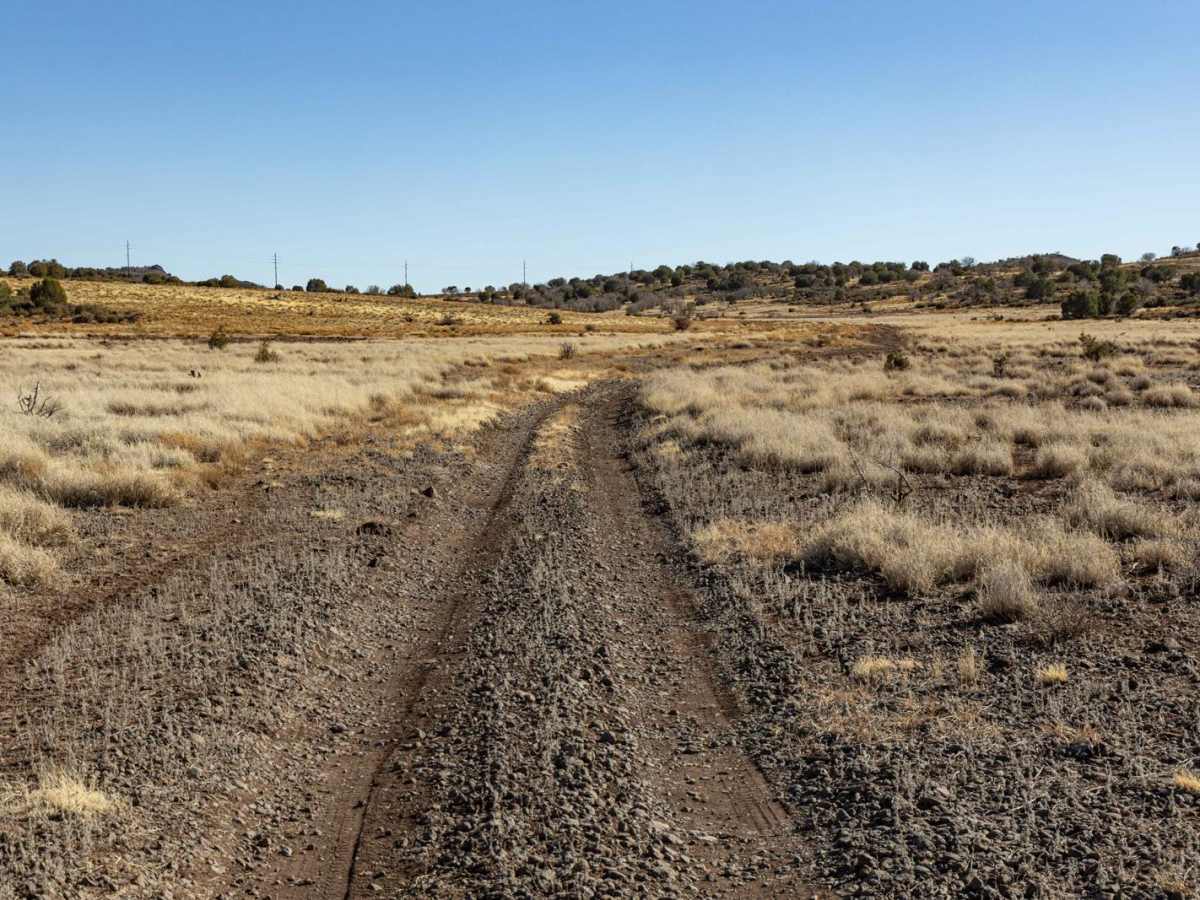 9602A trail photo