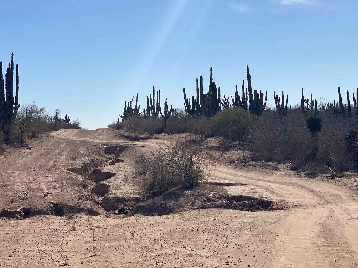 Dos Ranchos Road trail photo
