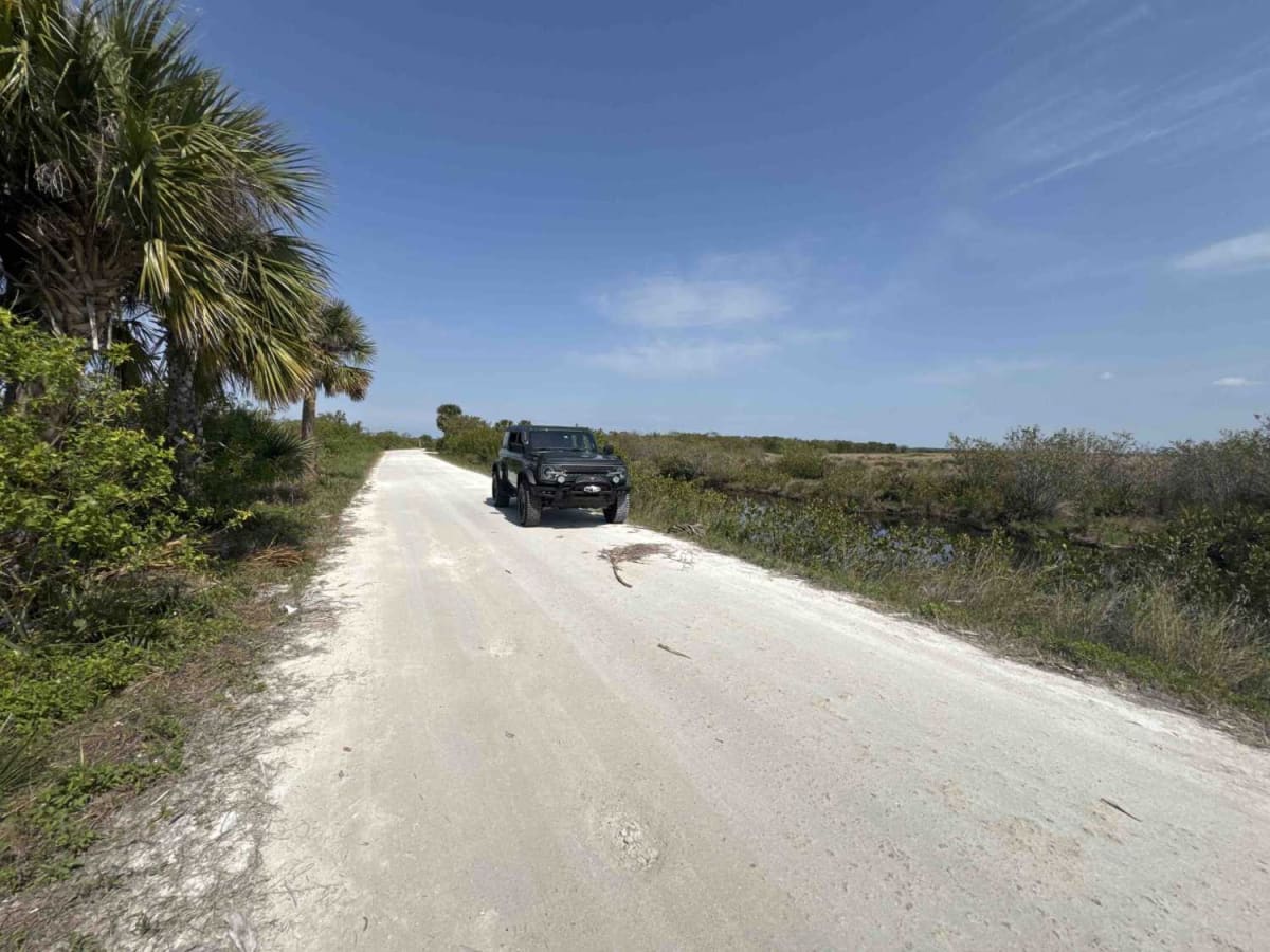 Gator Creek Road photo 3