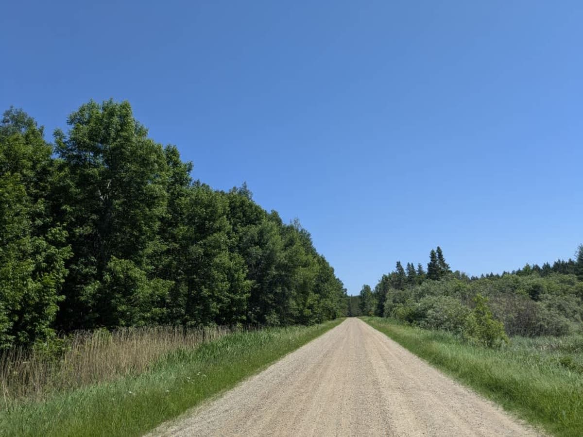 143 trail photo