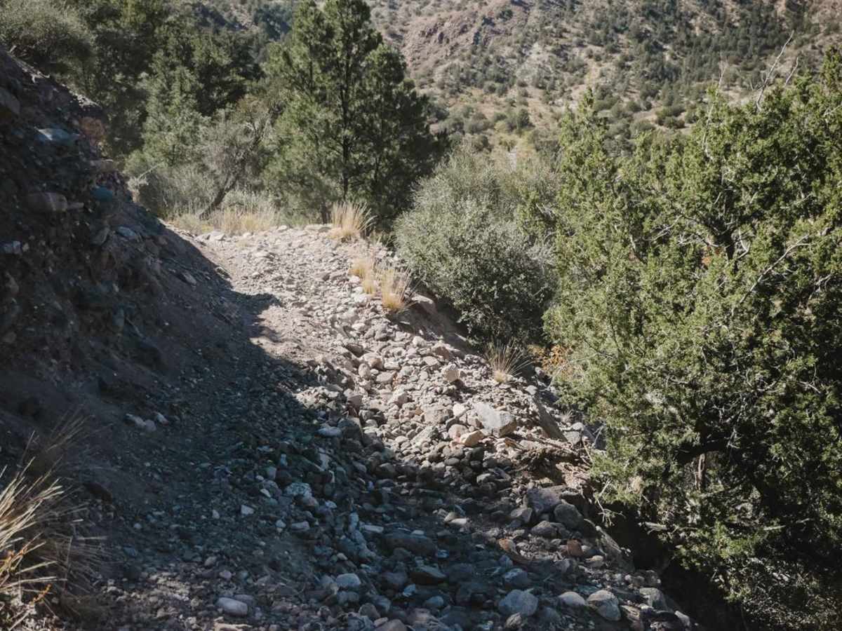 Camp Verde Trail #545 (South) photo 2