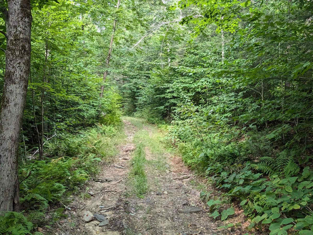 Stetson Road photo 3
