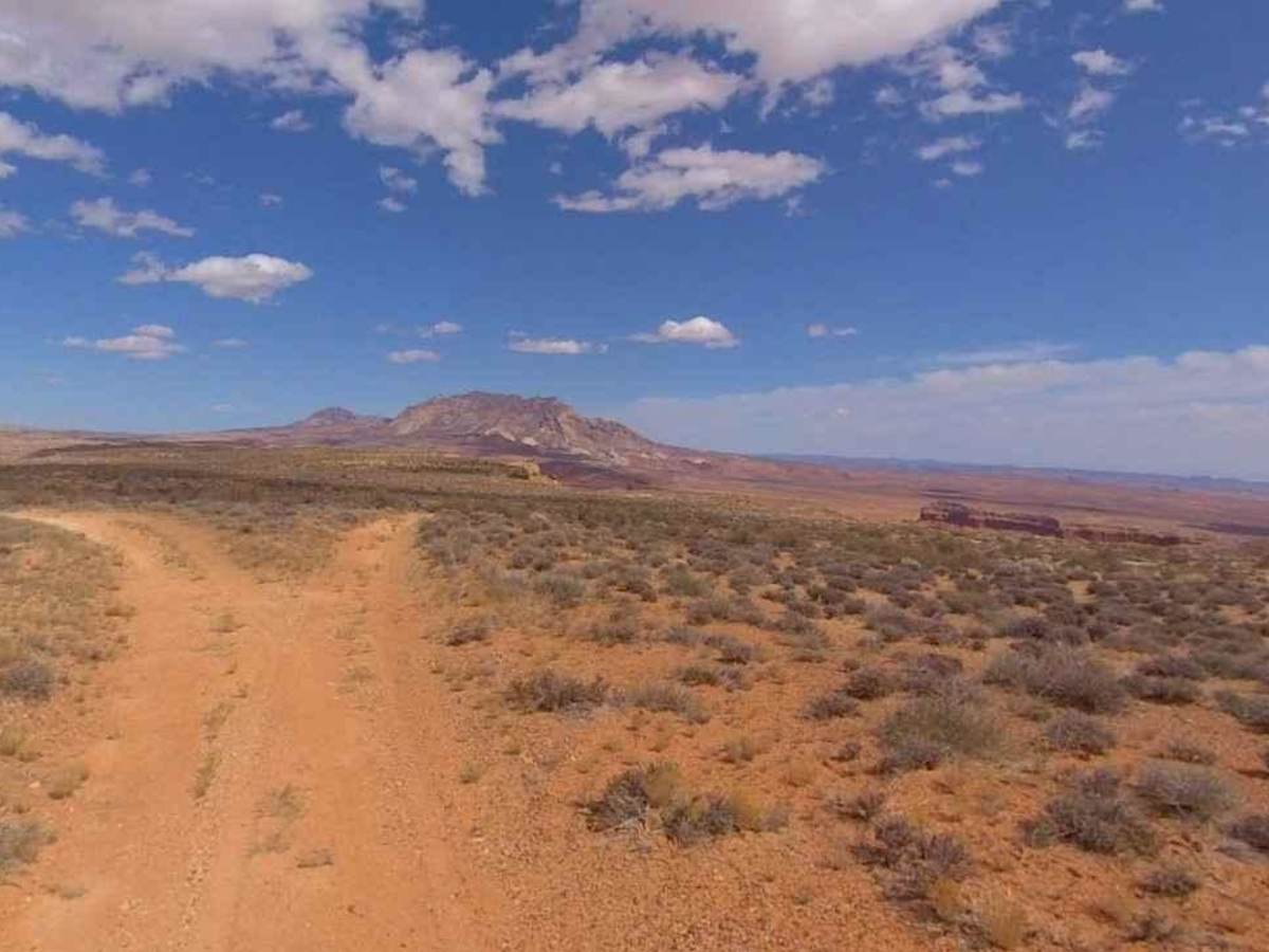 Tom Canyon-BLM13200 photo 6