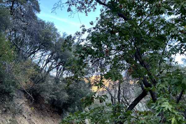 Bates Canyon