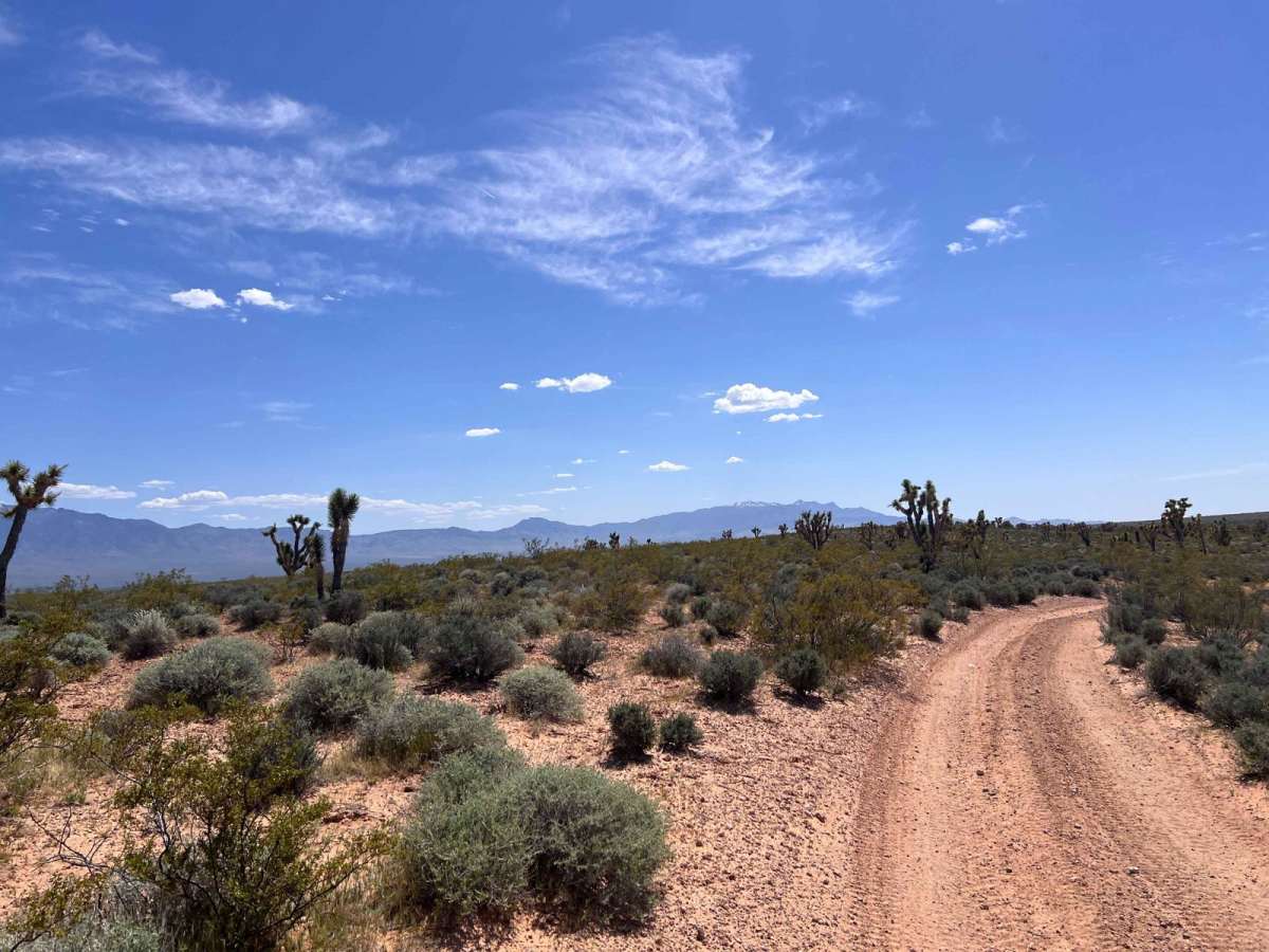 Old Mormon Wagon Trail (East) photo 6