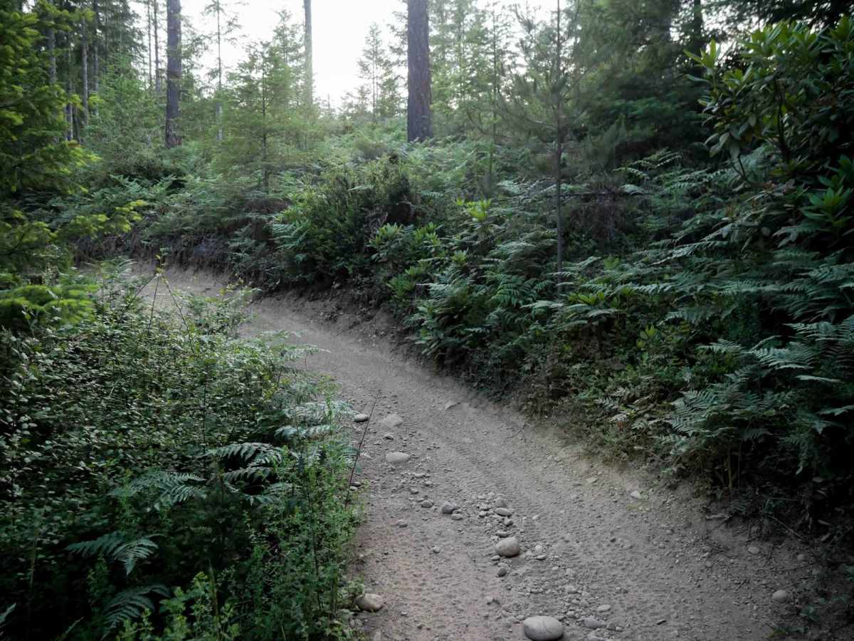Howell Lake photo 4