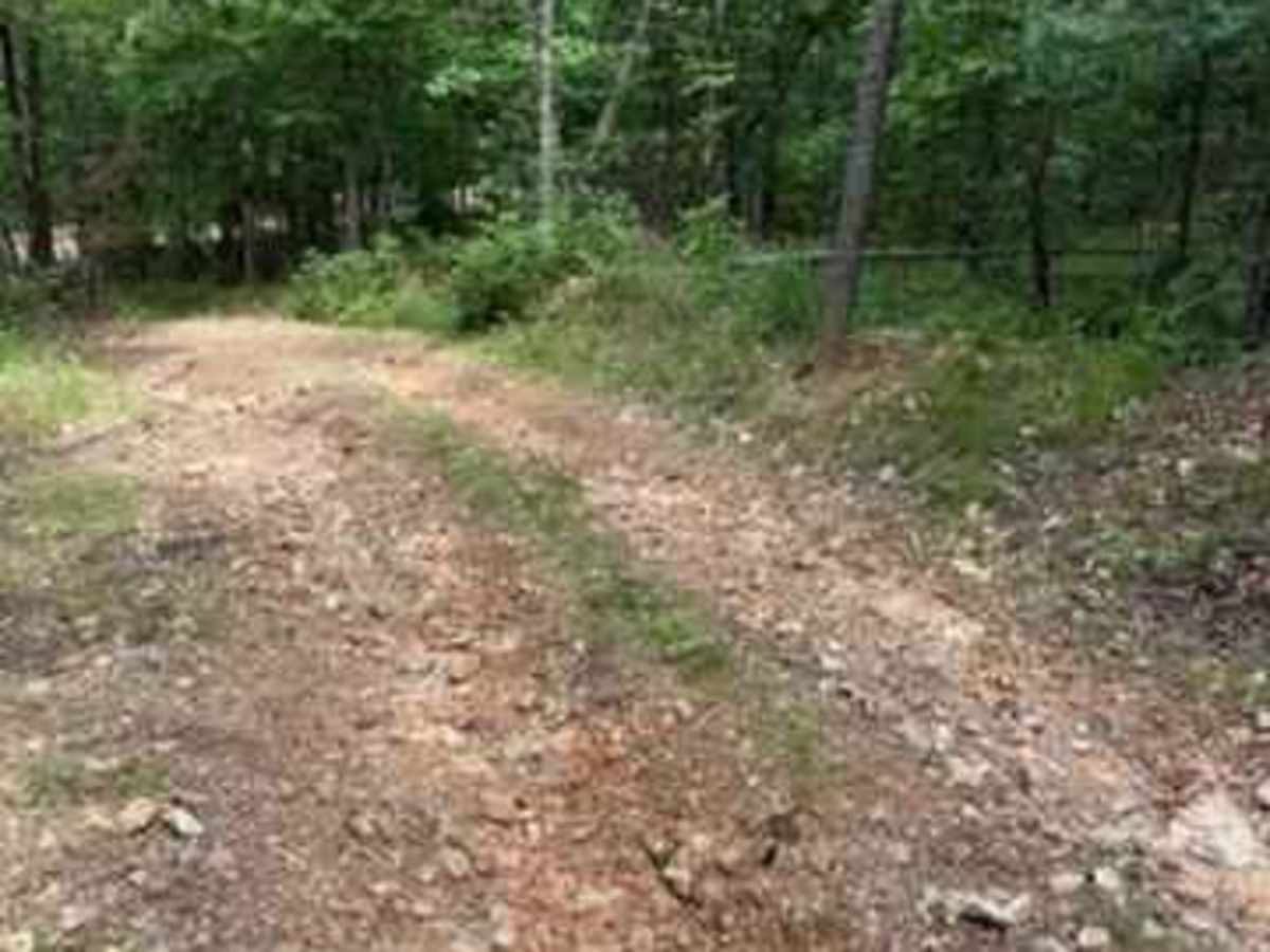 Whitley's Trail photo 2
