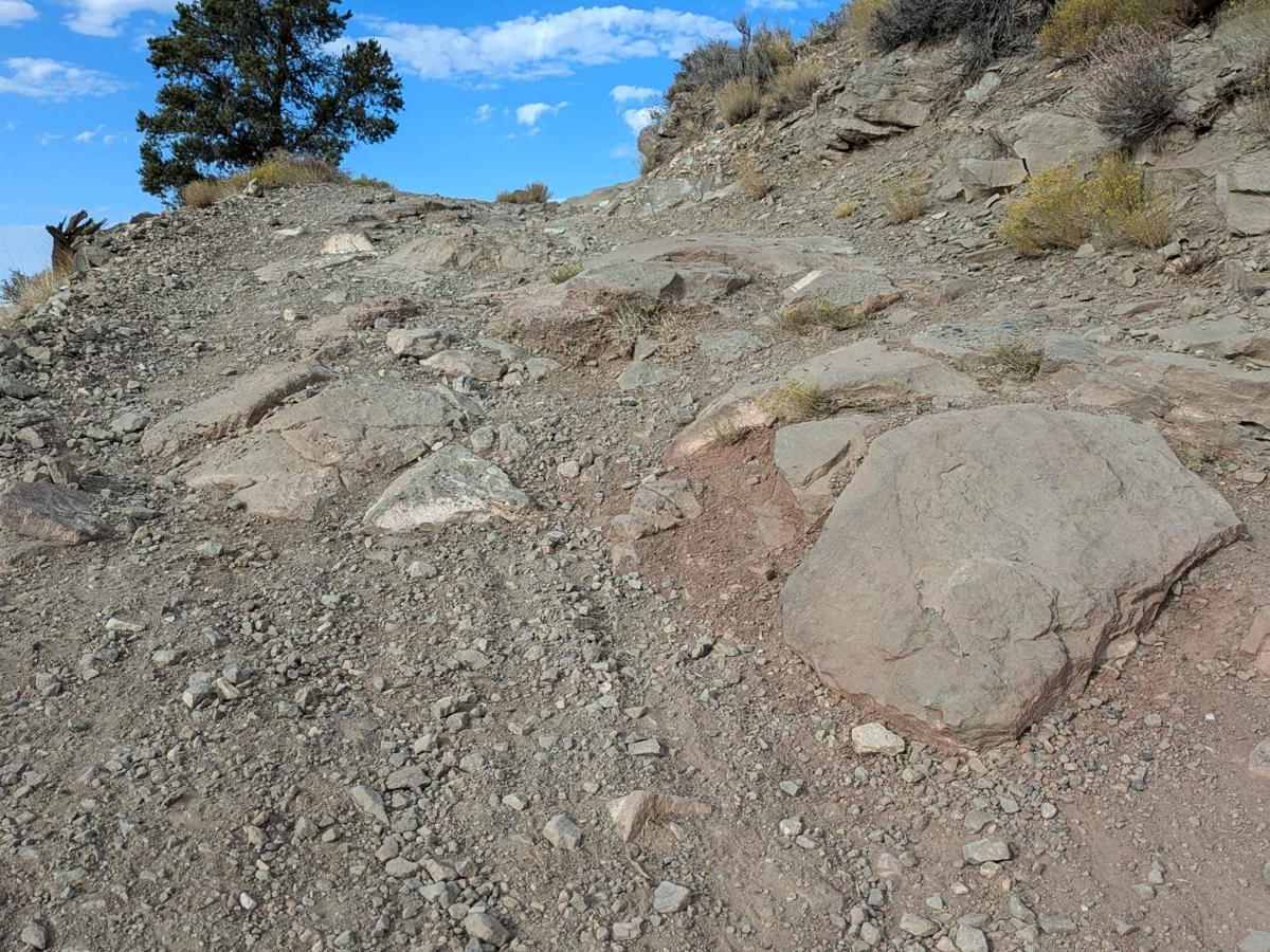 Flying Monkey Trail Access trail photo