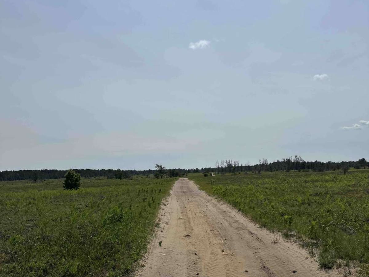 FS 3336 photo 2