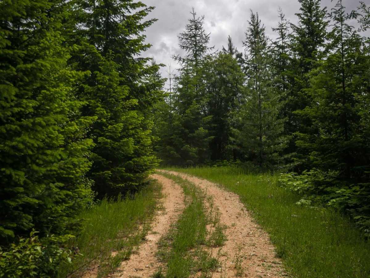 Hill 36 OHV - 3598 photo 2