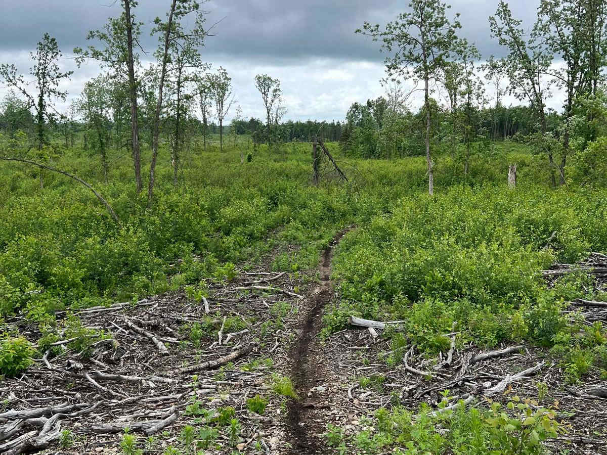 Paul Bunyan NW Loop Part 1 photo 4