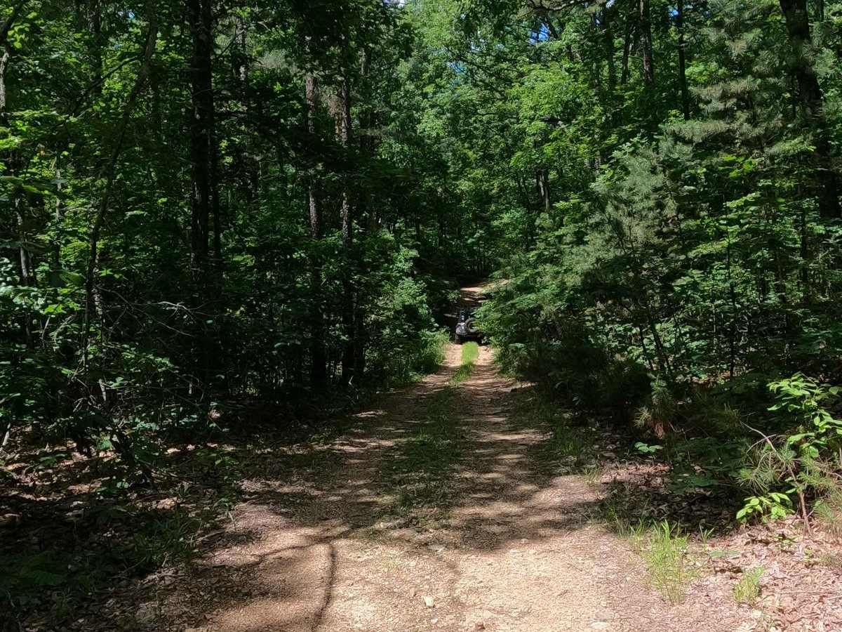 Reader Hollow FSR 2155 photo 5