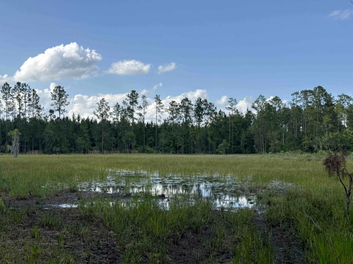 Mosquito Bay North photo 5