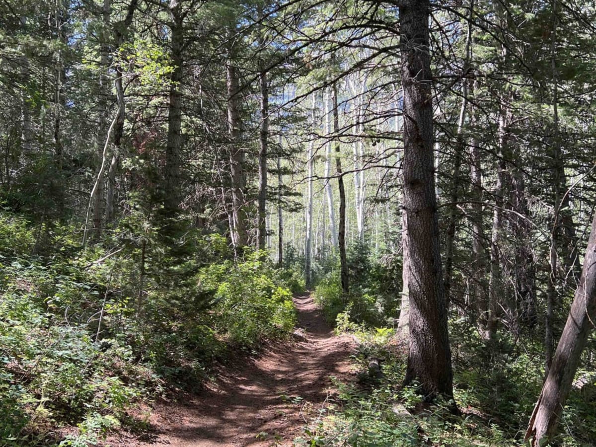 Salamander Flat (2150) photo 4