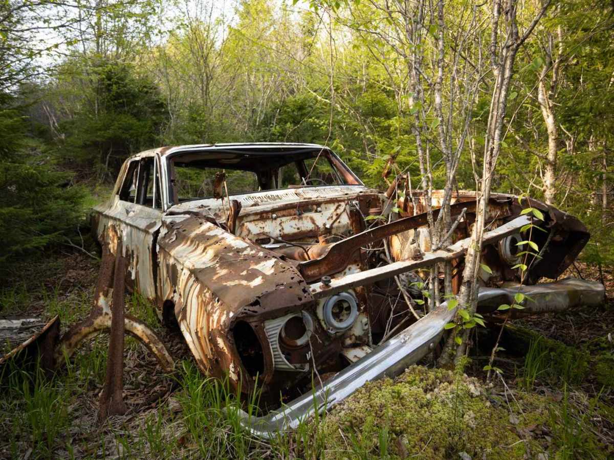 White Car Trail trail photo